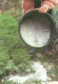 Des récoltes en deçà des normes