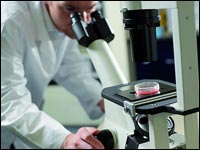 Lancement d’une initiative en faveur de l’emploi