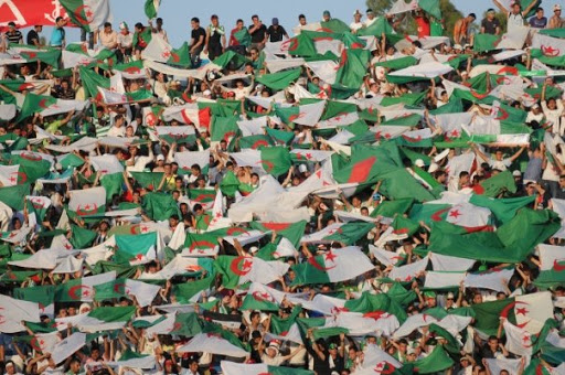Les fans de l’en interdits de séjour au Caire «ce sera aéroport-stade et stade-aéroport», selon le pdg d’air Algérie