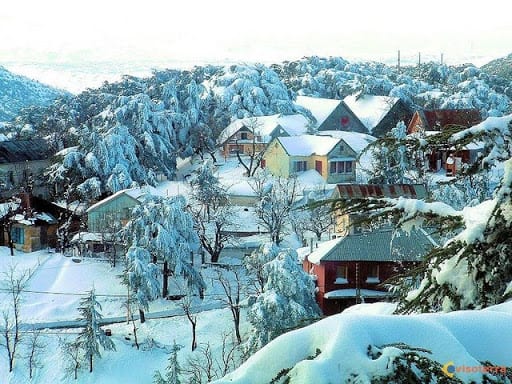 Les premiers flocons de neige tombent à Sétif