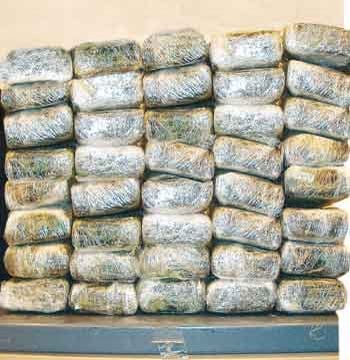 Béchar : Saisie de près de 3 tonnes de kif à Zegdouprès