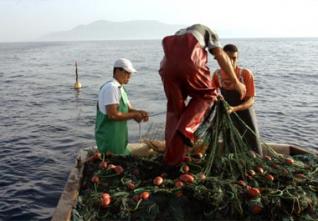 Des pêcheurs se plaignent de la pollution maritime