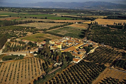 En raison de sa pollution, Les apiculteurs fuient la plaine