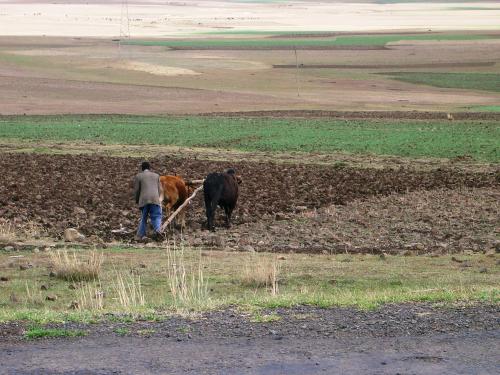 La productivité agricole chuterait de 20 à 40% en Afrique