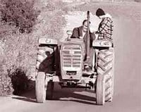 Labours-semailles dans la commune d’Ighram (Béjaïa)
