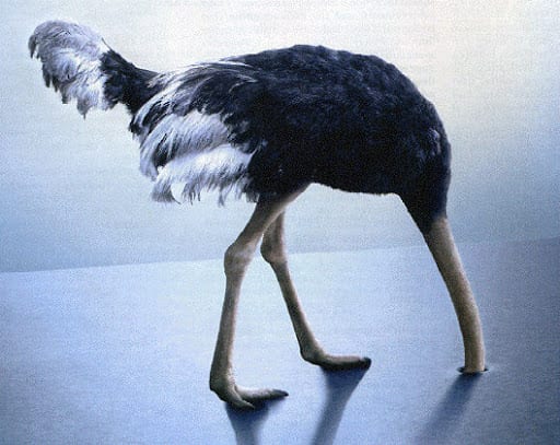 L’Algérie adopte la politique de l’autruche