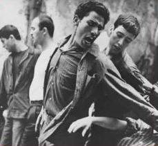 51e Anniversaire du cinéma algérien