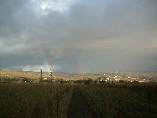 Baghlia (Boumerdes), cadre de vie : Détresse d’une localité oubliée