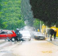 Chutes de pluie : Des dégâts et des routes coupées dans plusieurs wilayas