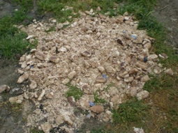 Setif , Pain rassis récupéré : Un nouveau mode d’alimentation de bétail