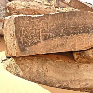 Tamanrasset : Six sites d&rsquo;intérêt mondial