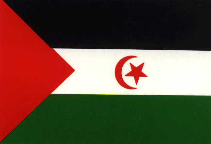 29 Sahraouis en greve de la faim, La RASD appelle à l’intervention urgente de la communauté internationale