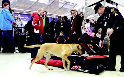 Après l’établissement d’une «liste noire» où figure l’Algérie Nouveau tour de vis dans les aéroports us