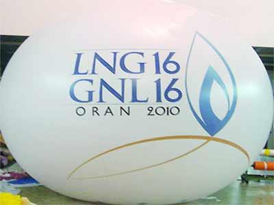 Conférence GNL16 d&rsquo;Oran : Une décision qui a coûté plus d&rsquo;un milliard de dollars