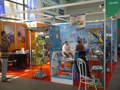 Conséquence de l’éruption volcanique en Islande : La participation étrangère à Equip Auto Algeria compromise