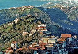 Face à une insécurité croissante  Jours de traque à Boghni