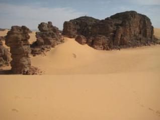 Mois du patrimoine : Le Parc national du Tassili à pied d’œuvre