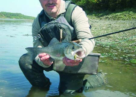 Smaïl Mimoun «L&rsquo;avenir, c&rsquo;est le poisson d&rsquo;eau douce»