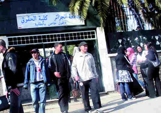 4000 DA par trimestre : Etudiants délaissés, enseignants méprisés