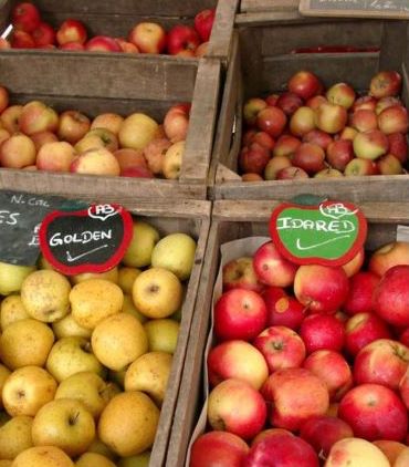 A quoi bon manger bio ?