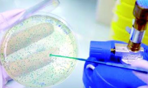 Bientôt la biologie synthétique