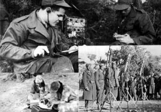 Célébration du 19 mai journée nationale de l’étudiant : La part de l’élite