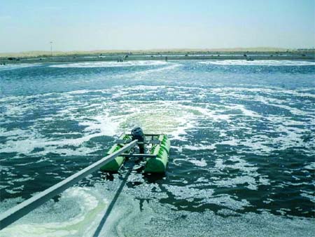 El-Oued enfin à l’abri des eaux usées