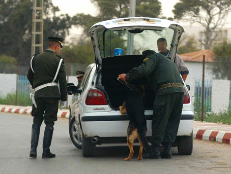 Ils opèrent à bord de motos : Des malfrats écument l’autoroute Oran-Mostaganem