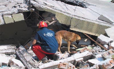 Le docteur H. Djellit, directeur de recherche au Craag : «Nous avons finalisé la première carte sismique du nord de l’Algérie»
