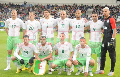 Les nouveaux à la loupe