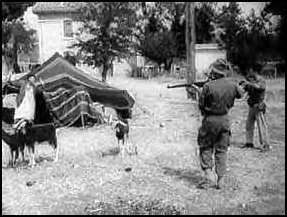 Mai 1945 : 90 000 victimes algériennes, selon les Américains