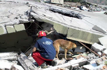 Sept ans après le séisme de Boumerdès : niveau de risque sismique passé de deux à trois