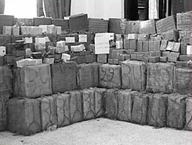 Sud-Ouest : Plus de 10 tonnes de kif saisies en trois mois