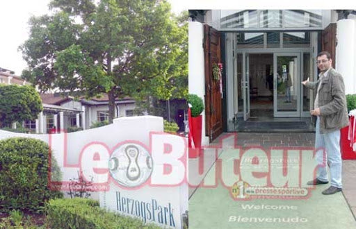 Voilà où les Verts effectueront leur stage !