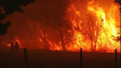 Ain hammadi :8 hectares de forêt ravagés par les flammes