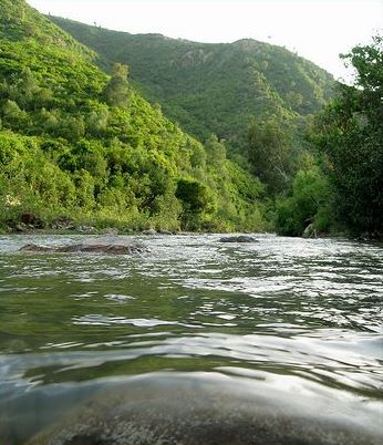 Blida : Hammam Melouane change de look