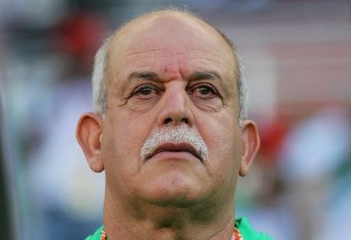 Déclarations des verts