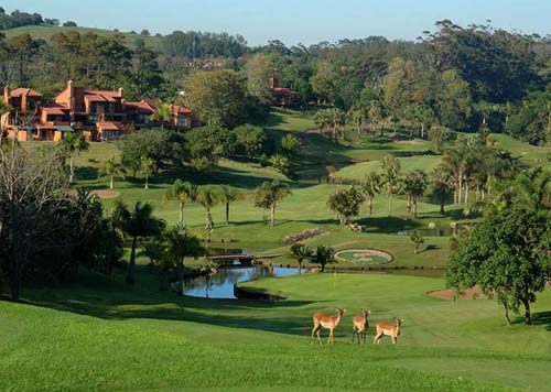 Ils sont depuis ce matin à Durban Les Verts sous Haute Sécurité