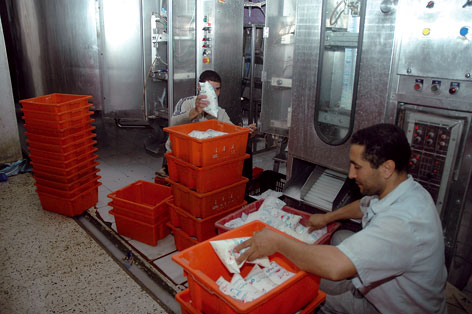 La guerre des déclarations mine la filière : Vers une nouvelle crise du lait en sachet