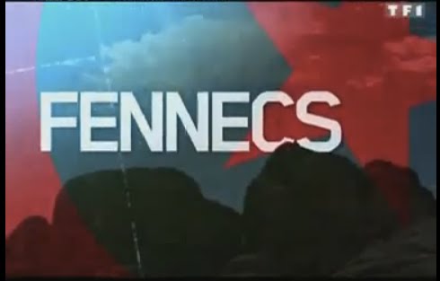 La semaine des verts reportage Téléfoot TF1