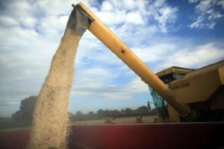 Le marché agricole au menu des relations algéro-européenne