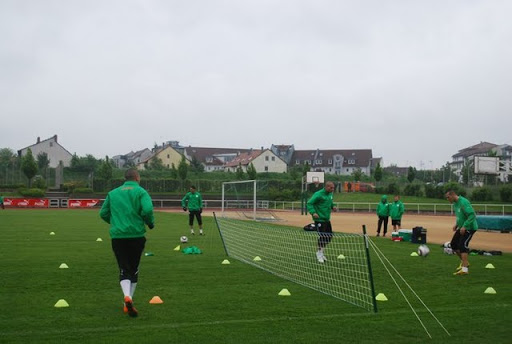 Les Verts en session de rattrapage