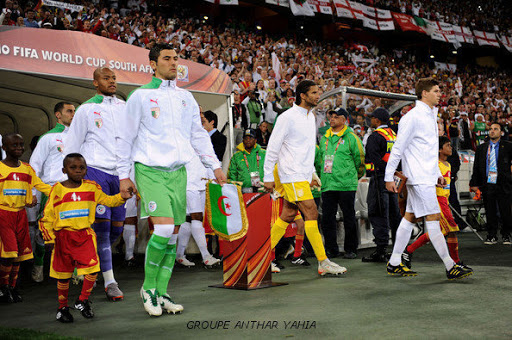 Les Verts ne se brisent pas