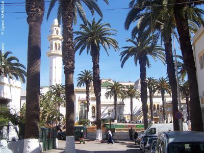 Litige foncier entre le ministère de la Justice et la commune d’El Biar