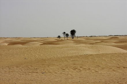 Muraille verte du Sahara : « Les barrages de ce type ont toujours échoué »