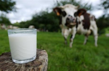 Nouvelle tension annoncée sur le lait