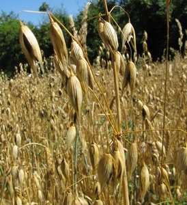 On ne perd pas espoir