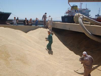 Une deuxième opération est prévue dans dix jours : Exportation de 100 000 quintaux d’orge vers la Tunisie