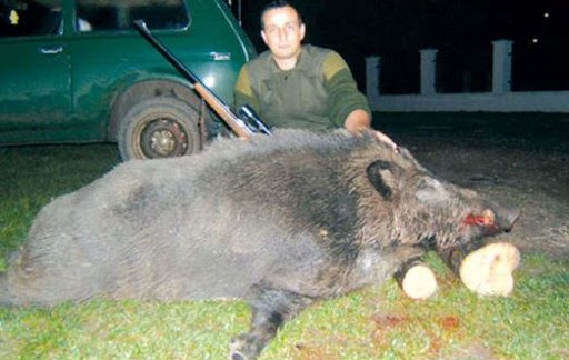 Aïn Témouchent  : Les chasseurs ont leur fédération