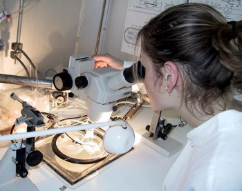 Contrôle des produits pharmaceutiques L&rsquo;Institut Pasteur écarté